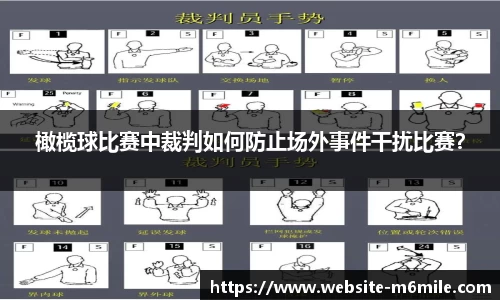 M6体育米乐